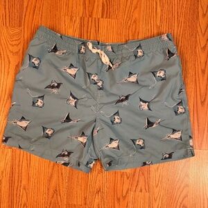 Mens Chubbies Swim Shorts